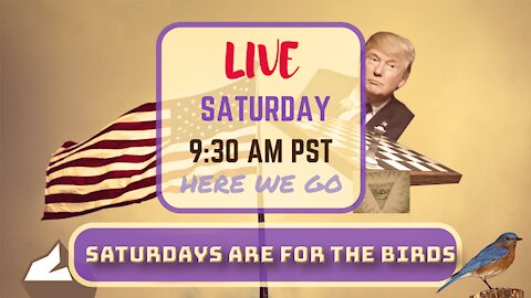 Saturday *LIVE* Saturdays Are For The Birds Edition