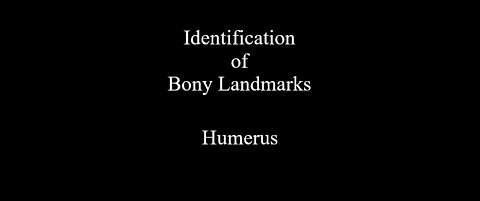 Identification of Bony Landmarks - Humerus
