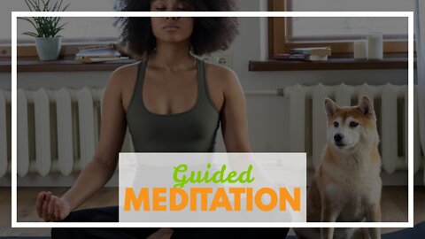 Guided Meditation For Health, Healing & Physical Well-Being Fundamentals Explained