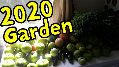 SFO Garden Video 2020!