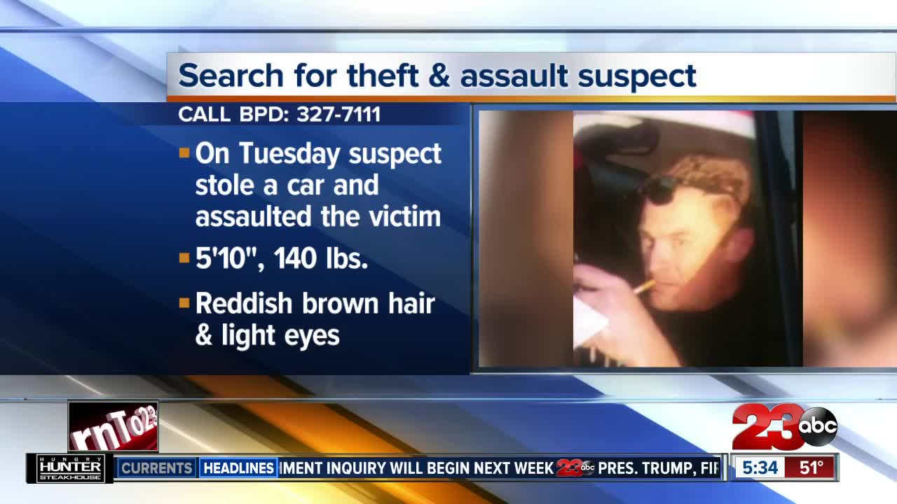 Search for Theft and Assault Suspect