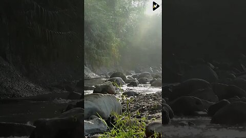 Relaxation Short Videos with Beauty of Nature #shorts #short #shortfeed #nature
