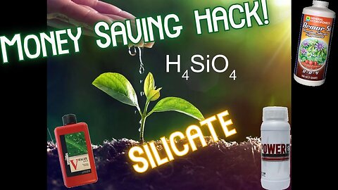 Whats the Difference Silicon, Potassium Silicate, Silicic Acid? Why you NEED it - Money Saving Hack!