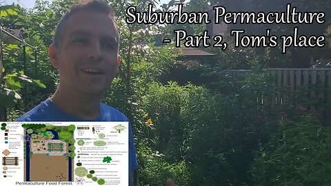 Suburban Permaculture consultation followup - 3 years later - "Tom"'s Place
