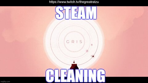 Steam Cleaning - GRIS