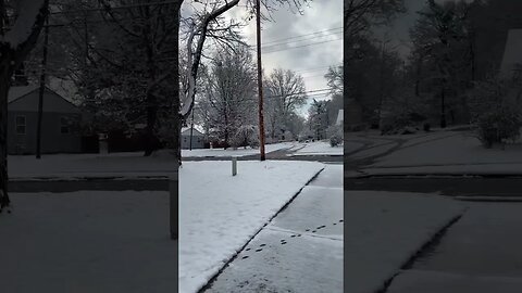 Snowy Morning In Kansas