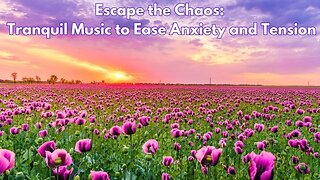 Escape the Chaos: Tranquil Music to Ease Anxiety and Tension