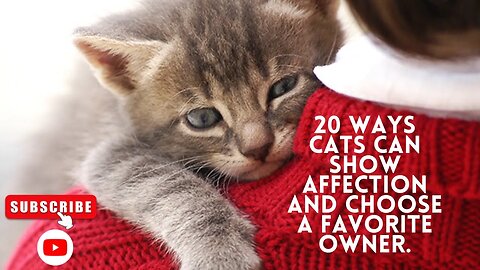 20 ways cats can show affection and choose a favorite owner.