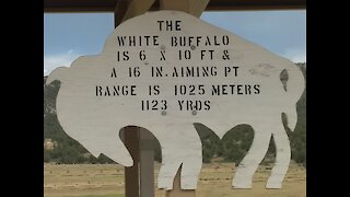 1123 Yard Buffalo