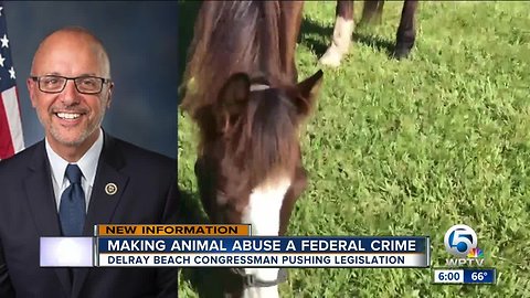 U.S. Rep. Ted Deutch to hold news conference on animal cruelty legislation