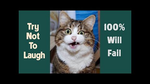 Funny and Cute Pet compilation #2 | Try not to laugh impossible challenge hardest version ever