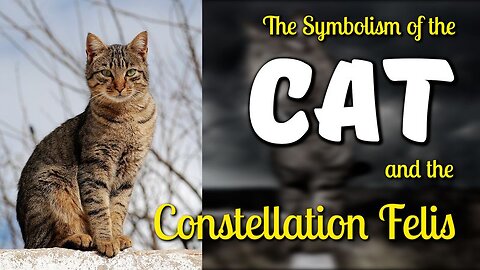 The Symbolism of the Cat and the Constellation Felis