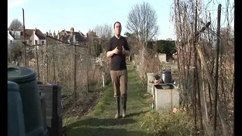 Planting Shallots (March 2010)