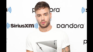 Liam Payne fell in love with Christmas after becoming a dad