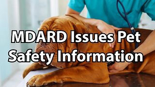 MDARD Issues Pet Safety Information
