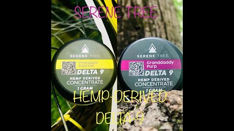 HEMP-DERIVED DELTA-9 DABS@Serene Tree Pineapple Express🍍& Grandaddy Purple🍇 #serenetree #delta9