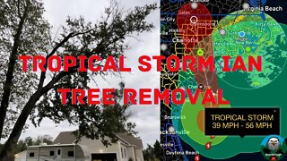 Tropical Storm Ian - Tree Downing (preventative)