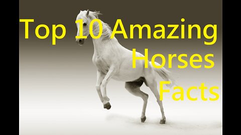 10 Best facts about Horses #shorts