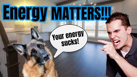 Does Your Dog "Align" With Your Energy? VERY Important!!!