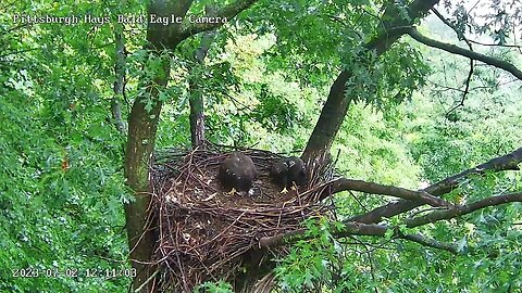 Hays Eagles H20 in-attempts a steal-H19 retains possession after a brief kerfuffle! 07-02-2023 12:10