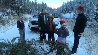 Cutting down a Christmas tree in the forest is an Idaho tradition
