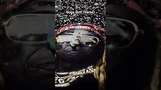 Lil Wayne - Dogs Out! (Verse) (2021) (432hz)