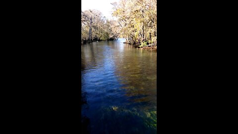 Manatee Springs State Park Florida