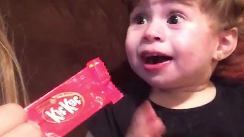 Little Girl Is Delighted That Her Mom Has Another KitKat For Her To Eat!