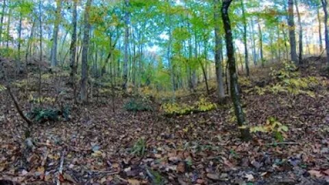 Down In The Holler 360°🔥🔥