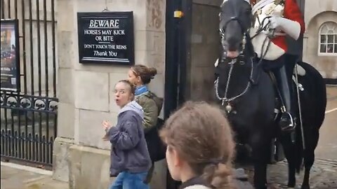Lucky the horse gave her a tap on the shoulder #horseguardsparade
