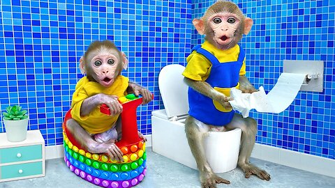 KiKi Monkey help Naughty Baby experience Pop It Toilet | KID ANIMAL