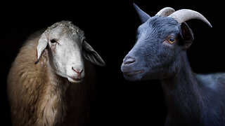 The separation of the sheep and goats