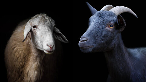 The separation of the sheep and goats