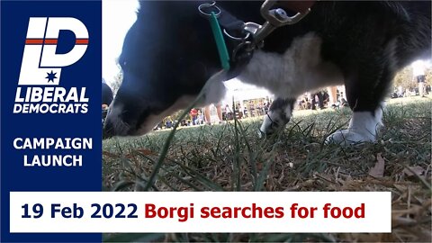 19 Feb 2022 - Liberal Democrats Campaign Launch 13: Borgi searching for food