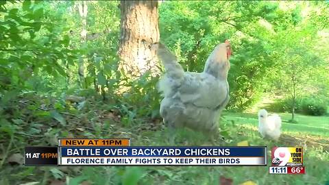 Florence family fights to keep pet chickens