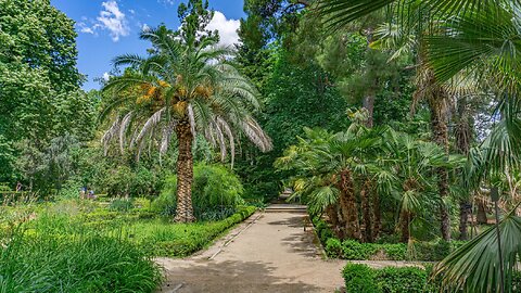 Mадрид, Кралската ботаническа градина - галерия в 4К