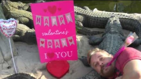 Mann bestemmer seg for å feire Valentinsdagen med en haug med krokodiller