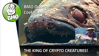 BMO Creative Crypto Video - Coelacanth