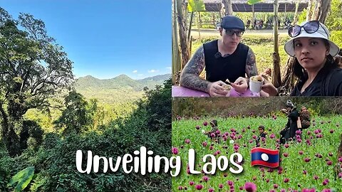 Unveiling Laos: Local Insights on Buffalo Ice Cream, Tribes, Opium & Development