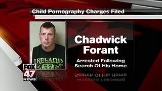 Man arraigned on child pornography charges in Hillsdale County