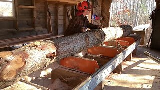 Norwood MX34 sawing 20ft log