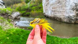 Streamer Fishing SMALL Creeks For Brown Trout! (Pa Trout Fishing)