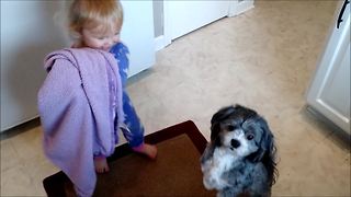 Patient puppy tolerates playful toddler