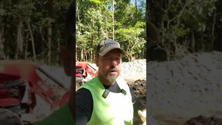 Tractor & Excavator Deep Woods Action: Join Us In The Woods For Some Awesome Shorts!