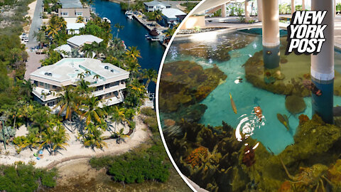 Snorkel at home in this $6M mansion with in-house coral reef