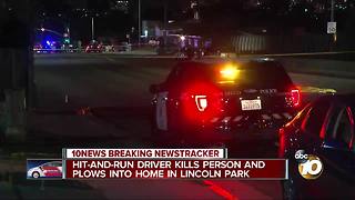 Hit and run driver kills woman in Lincoln Park