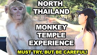 Thailand Travel to Khon Kaen Monkey Temple... Monkey's are Scary!