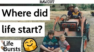 Growing up on a farm can be a CRACKING time - Life Bursts Clips