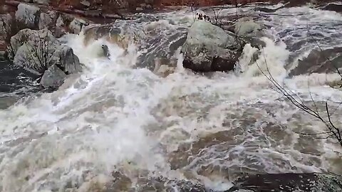 Live Waterfall #river #live