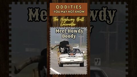 Oddities: The Highway Bull Edition, Meet Howdy Doody. 🤠 #youtubeshorts #Travel #farming #bull